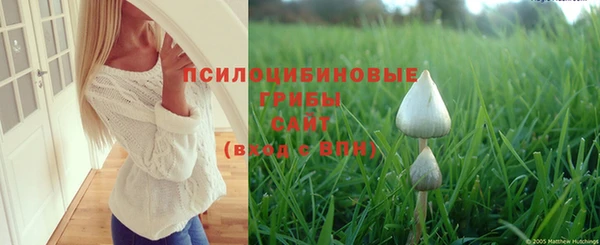 MDMA Premium VHQ Вязьма