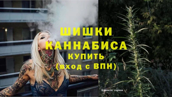 спайс Вяземский