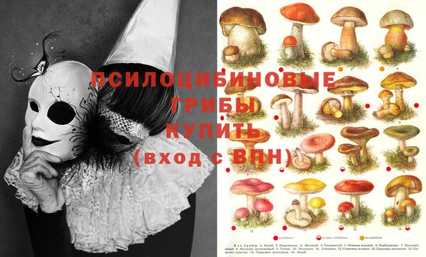 прущая мука Волоколамск