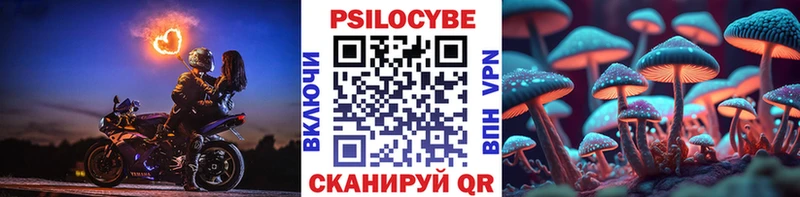 Галлюциногенные грибы Cubensis  где продают   Ишимбай 